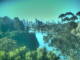 Linley Point 06.07.2025 09:54