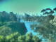 Linley Point 06.07.2025 09:54