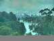 Linley Point 11.05.2025 09:55