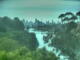 Linley Point 08.07.2025 09:54