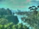 Linley Point 15.06.2025 09:54