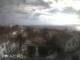 Nordeste (Azores) 05.07.2025 09:54