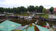 Carolinensiel-Harlesiel 10.07.2025 09:46