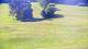 Gap 08.07.2025 09:56