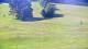 Gap 12.07.2025 09:56