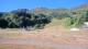 Montferrier 07.07.2025 09:56