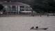 Andernos-les-Bains 13.07.2025 09:06