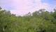 Metairie, Louisiana 08.06.2025 09:09