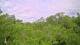 Metairie, Louisiana 11.05.2025 09:09