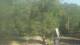 Fairview, Tennessee 12.07.2025 09:10