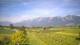 Feldkirch 15.06.2025 09:57