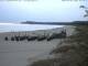 Trassenheide 30.04.2025 09:47