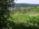 Feuerbach 12.07.2025 09:57