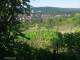 Feuerbach 13.07.2025 09:07