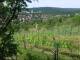 Feuerbach 19.05.2025 09:58