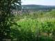 Feuerbach 12.06.2025 09:58