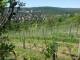 Feuerbach 11.05.2025 09:58