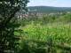 Feuerbach 15.06.2025 09:58