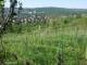 Feuerbach 29.04.2025 09:58