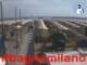 Cesenatico 22.06.2025 09:47