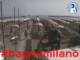 Cesenatico 14.06.2025 09:47