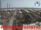 Césenatico 14.06.2025 09:47