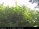Presseggersee 09.06.2025 09:47