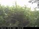 Presseggersee 09.06.2025 09:47