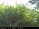 Presseggersee 15.06.2025 09:47
