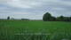 't Zandt 15.06.2025 09:58