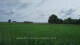 't Zandt 09.06.2025 09:58