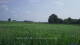 't Zandt 15.06.2025 09:58