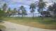 Malolo Lailai 12.07.2025 09:58