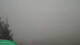 Frohn 15.03.2025 09:59