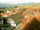 Sasbachwalden 02.11.2024 09:47