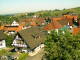 Sasbachwald 11.05.2025 09:47