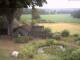 Schneverdingen 15.07.2025 09:48