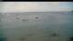 Les Anses-d'Arlet 22.03.2025 09:57