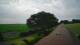 Schwinge 14.06.2025 09:59