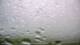 Punta Gorda, Florida 16.05.2025 09:59