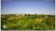 Torrevecchia Teatina 03.07.2025 09:59