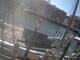 Boston, Massachusetts 11.05.2025 09:59