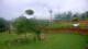 Powell, Ohio 15.06.2025 09:15