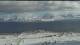 Spitsbergen - Ny-Ålesund 11.05.2025 09:01