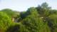 Port-Vendres 15.06.2025 09:01