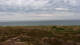 Kampen (Sylt) 15.06.2025 09:03
