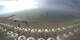 Pietra Ligure 30.04.2025 09:47