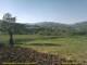Cantalupo Ligure 30.04.2025 09:04