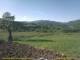 Cantalupo Ligure 18.03.2025 09:04
