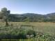 Cantalupo Ligure 08.07.2025 09:04